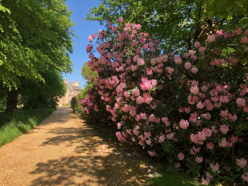 Bisterne Manor & Stable Family Home Trust